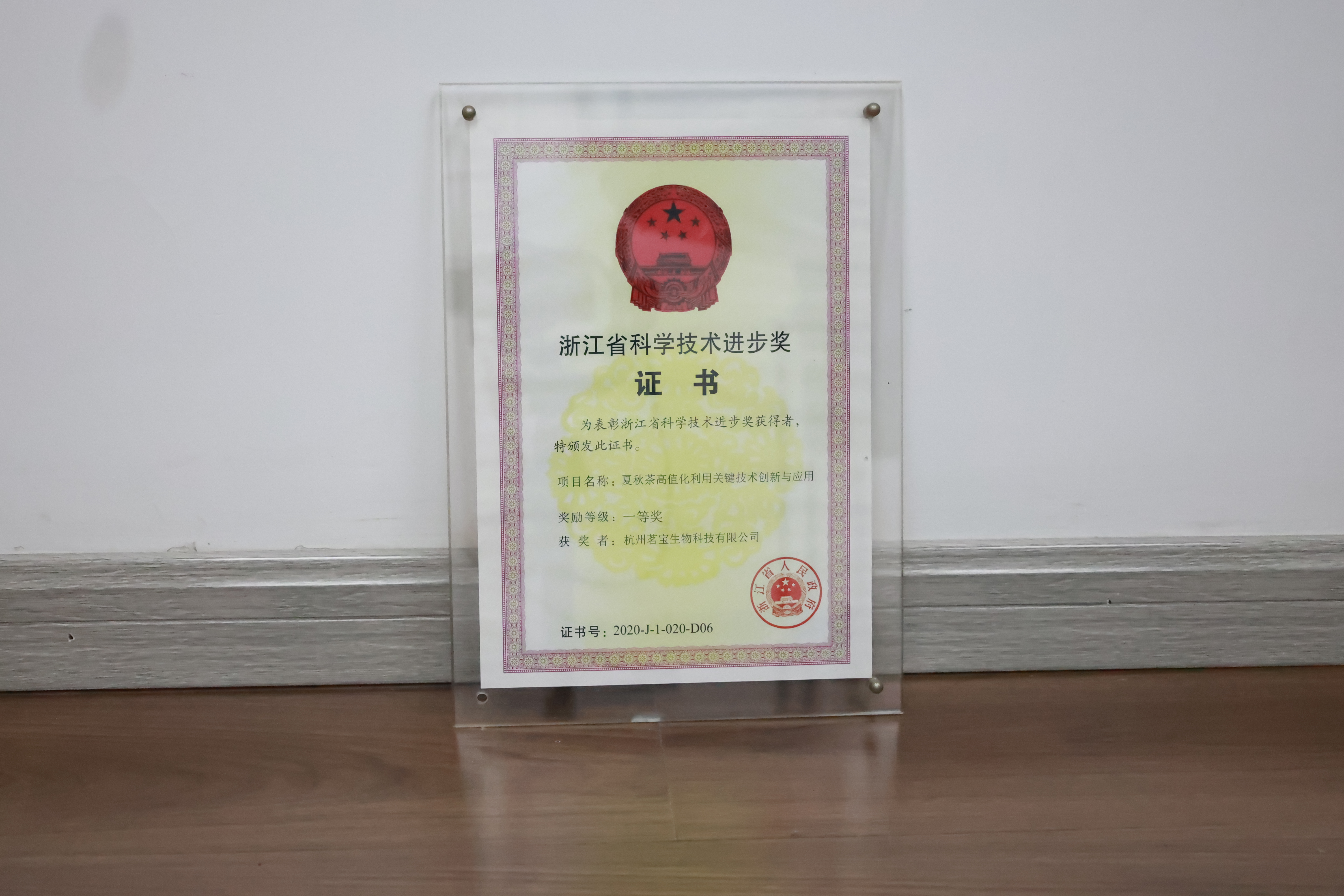 Zhejiang Science & Technology Progress Award — First Prize — original HD photo